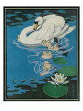 Nature Magazine - View of a Swan with Her Cygnets (Young Swans), c.1931 Posters