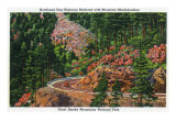 Great Smoky Mts. Nat'l Park, Tn - Newfound Gap Highway Bordered with Rhododendron, c.1946 Print