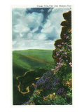 Great Smoky Mts. Nat'l Park, Tn - Chimney Tops View of Craggy Point, c.1937 Art