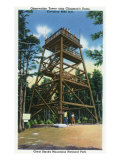 Great Smoky Mts. Nat'l Park, Tn - Clingman's Dome Observation Tower View, c.1941 Prints
