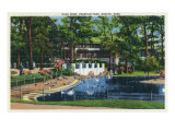 Boston, Massachusetts - Franklin Park View of the Duck Pond, c.1934 Posters