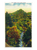 Great Smoky Mts. Nat'l Park, Tn - View of the Chimney Tops in the Autumn, c.1946 Poster
