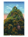 Great Smoky Mts. Nat'l Park, Tn - View of Hikers on the Chimney Tops, c.1946 Posters
