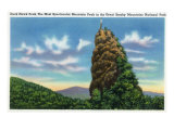 Great Smoky Mts. Nat'l Park, Tn - View of Duck Hawk Peak, c.1946 Posters