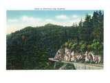 Great Smoky Mts. Nat'l Park, Tn - Scenic View Along the Newfound Gap Highway, c.1946 Prints