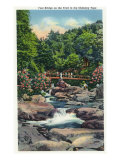 Great Smoky Mts. Nat'l Park, Tn - View of a Foot Bridge on the Chimney Tops Trail, c.1946 Prints