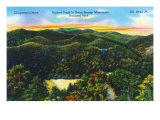 Great Smoky Mts. Nat'l Park, Tn - Scenic View of Clingman's Dome, Highest Peak in Park, c.1944 Posters