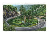 Great Smoky Mts. Nat'l Park, Tn - Scenic View of the Newfound Gap Highway, c.1940 Prints