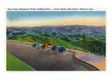 Great Smoky Mts. Nat'l Park, Tn - View of the Park from Clingman's Dome Parking Area, c.1946 Art