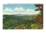 Great Smoky Mts. Nat'l Park, Tn - View of Clingman's Dome in the Autumn, c.1940 Prints