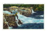 Great Smoky Mts. Nat'l Park, Tn - View of a Fisherman Trout Fishing, c.1946 Prints