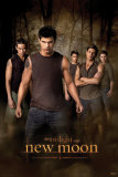 Crepúsculo - Lua Nova Posteres