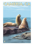 Cambria, California - Sea Lions, c.2009 Posters by Lantern Press 