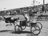 Racers During the Ostrich Racing, Grange County Fair Lámina fotográfica por Loomis Dean Racers During the Ostrich Racing, Grange County Fair Lámina fotográfica por Loomis Dean