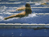 Unidentified Swimmers During the Breaststroke at Summer Olympics Lámina fotográfica Unidentified Swimmers During the Breaststroke at Summer Olympics Lámina fotográfica