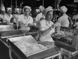 Workers at Ann Page Plant Transferring Spaghetti from Bins into Rows of Cans Premium Photographic Print Workers at Ann Page Plant Transferring Spaghetti from Bins into Rows of Cans Premium Photographic Print