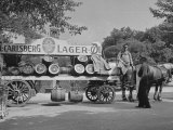 Beer Wagon in the City of Copenhagen Valokuvavedos