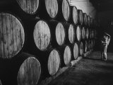 Winery Worker Checking Barrels of Wine Lámina fotográfica Winery Worker Checking Barrels of Wine Lámina fotográfica