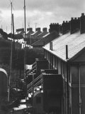 Aerial View of TV Antenna's on Houses of Middle-Income Development Reprodukcja zdjęcia autor Carl Mydans