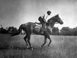 Race Horse Man O' War Photographic Print