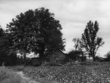 Site of Emmett Till's Kidnapping Lámina fotográfica por Ed Clark Site of Emmett Till's Kidnapping Lámina fotográfica por Ed Clark
