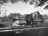 President Franklin D. Roosevelt Driving in His Convertible with His Dog Fala Through Hyde Park Lámina fotográfica President Franklin D. Roosevelt Driving in His Convertible with His Dog Fala Through Hyde Park Lámina fotográfica