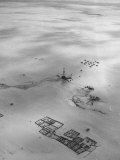 An Aerial View Showing the New Well at Qatif Lámina fotográfica por Dmitri Kessel An Aerial View Showing the New Well at Qatif Lámina fotográfica por Dmitri Kessel