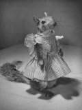 Squirrel Wearing a Baby Doll's Dress Lámina fotográfica por Nina Leen Squirrel Wearing a Baby Doll's Dress Lámina fotográfica por Nina Leen