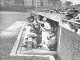 Cardinals Jeering and Waving from their Dugout to the Cubs During a Game Lámina fotográfica
