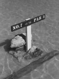Re: Low Tide Country Club, Wake Island Premium Photographic Print Re: Low Tide Country Club, Wake Island Premium Photographic Print