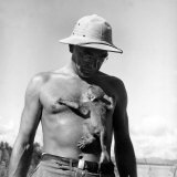 Rhesus Monkey Climbing on a Man's Chest at a Monkey Colony Lámina fotográfica por Hansel Mieth Rhesus Monkey Climbing on a Man's Chest at a Monkey Colony Lámina fotográfica por Hansel Mieth