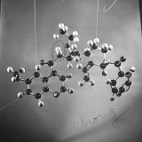 Model of N-Benzoyl-8-Carbethoxy-Quinotoxine Molecule Used in the Creation of Synthetic Quinine Lámina fotográfica