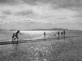People Playing in the Water of the Great Salt Lake Lámina fotográfica People Playing in the Water of the Great Salt Lake Lámina fotográfica