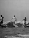 Men Riding the Waves on Surf Boards Reprodukcja zdjęcia premium