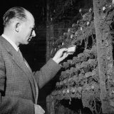 Director Yoes Kressmann, Looking at the Chateau Lafite Kept for His Own Personal Consumption Lámina fotográfica Director Yoes Kressmann, Looking at the Chateau Lafite Kept for His Own Personal Consumption Lámina fotográfica