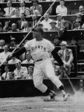 Baseball Player Willie Mays Hitting a Ball Premium fotoprint Baseball Player Willie Mays Hitting a Ball Premium fotoprint