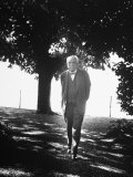 Composer Richard Strauss Out Walking Lámina fotográfica de primera calidad Composer Richard Strauss Out Walking Lámina fotográfica de primera calidad