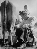 Author Erskine Caldwell Milking a Russian Peasant Woman's Cow During Visit to the Front Lámina fotográfica de primera calidad por Margaret Bourke-White