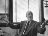 Architect Mies Van Der Rohe Expressing Feelings at His Desk Lámina fotográfica de primera calidad Architect Mies Van Der Rohe Expressing Feelings at His Desk Lámina fotográfica de primera calidad
