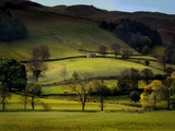 Yorkshire Dales Spring Print by Jody Miller