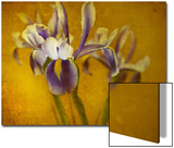 Iris Prints by Irene Suchocki