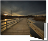 Marsh Path Poster by Irene Suchocki