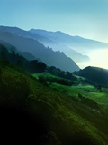Timeless Big Sur Posters by Jody Miller