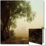 Trails in the Fog Prints by Ewa Zauscinska