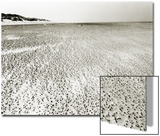 Baltrum Beach, no. 6 Poster by Katrin Adam