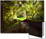 Devonshire Idyll Posters by Jody Miller