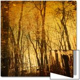 Tree Reflections Pôsteres por Irene Suchocki Tree Reflections Pôsteres por Irene Suchocki