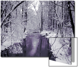 Snow Covered Trees along Creek in Winter Landscape Posters by Jan Lakey