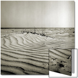 Baltrum Beach, no. 8 Prints by Katrin Adam