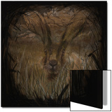 Field Hare Prints by Tim Kahane
